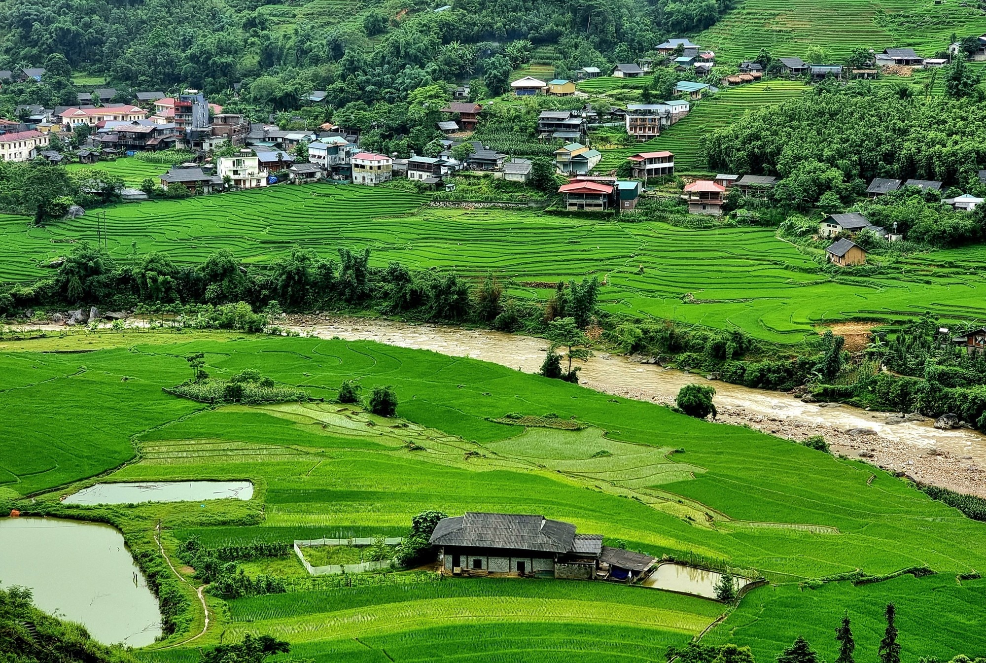 1-Day Sapa Trekking Tour to Cat Cat, San Sa Ho, Y Linh Ho Mong, Lao Chai San & Ta Van